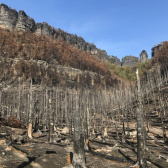 řešení rozvoje území Českého Švýcarska po ničivém požáru