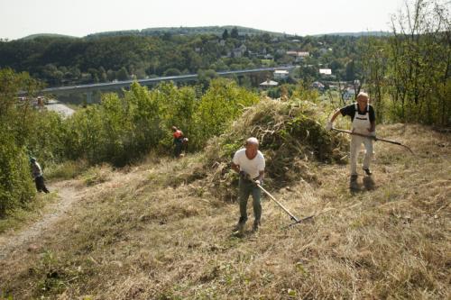 MAS Brdy - Vltava: Sdílená pracovní četa (OPZ)